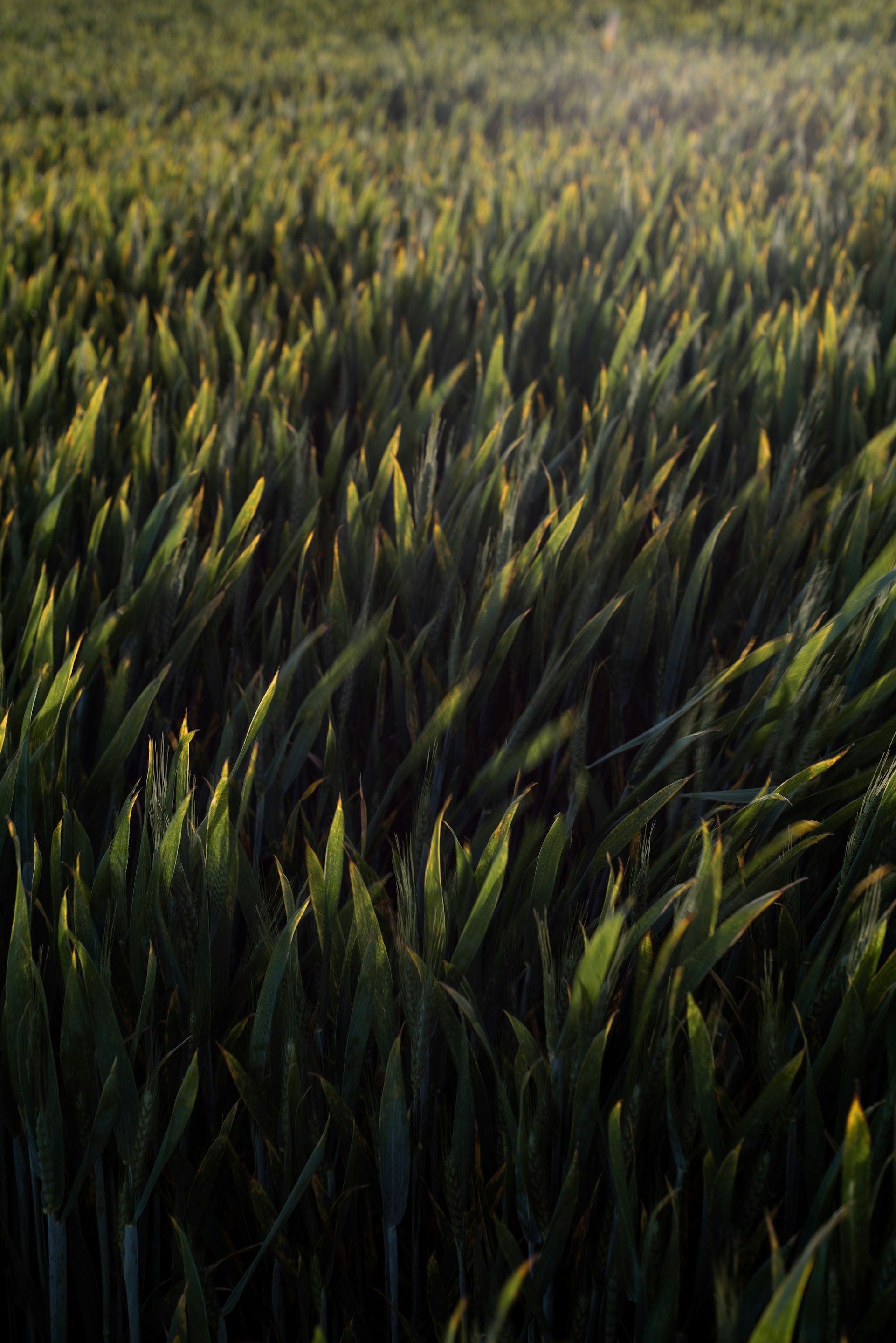 Hero background